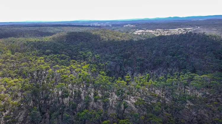 7904 Nerriga Road, Braidwood NSW 2622
