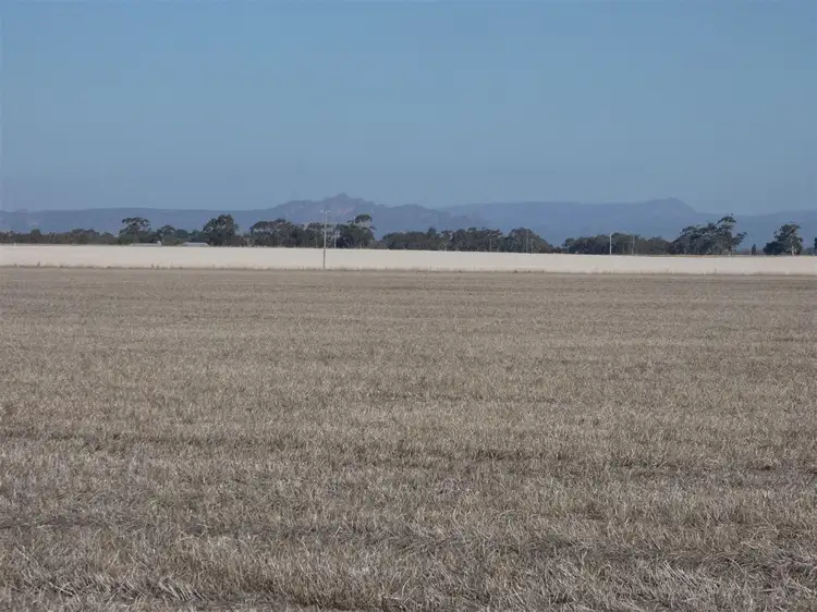Main view of Homely rural property listing, . South Road, Drung VIC 3401