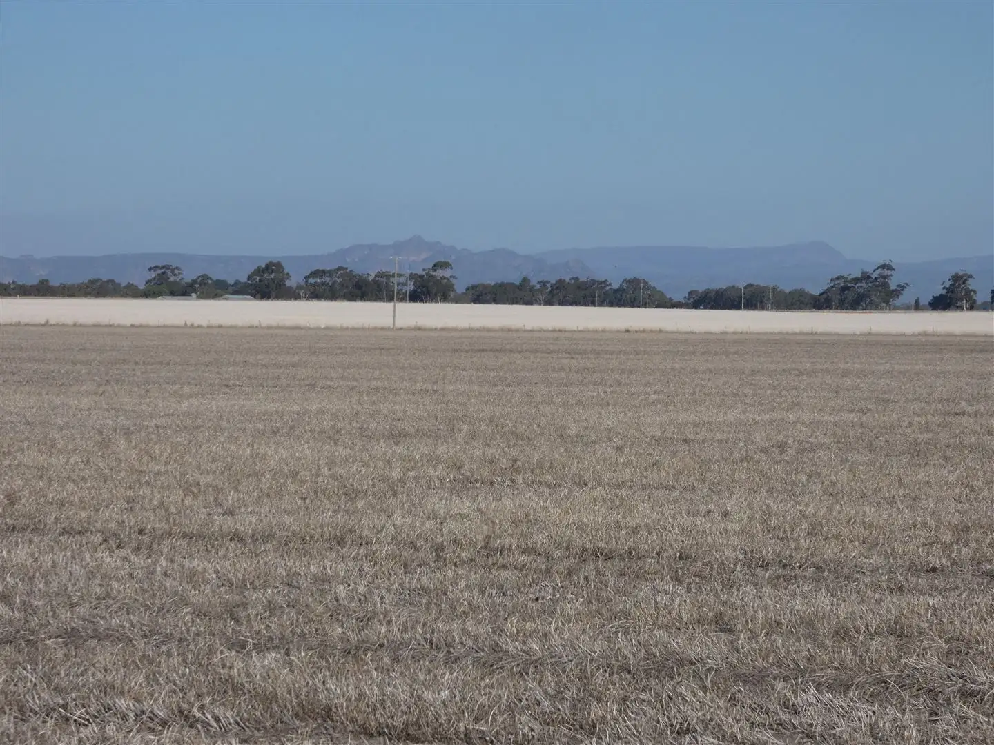 Main view of Homely rural property listing, . South Road, Drung VIC 3401