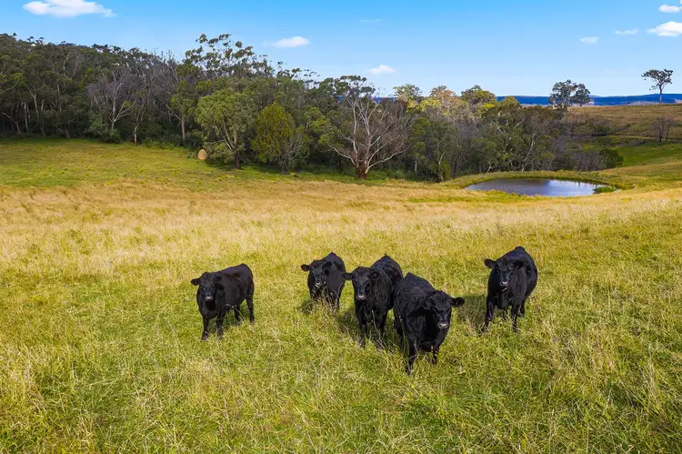 1404 Caoura Road, Tallong NSW 2579