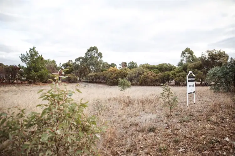 Main view of Homely land listing, 110 - 118 Cockburn Road, Jamestown SA 5491