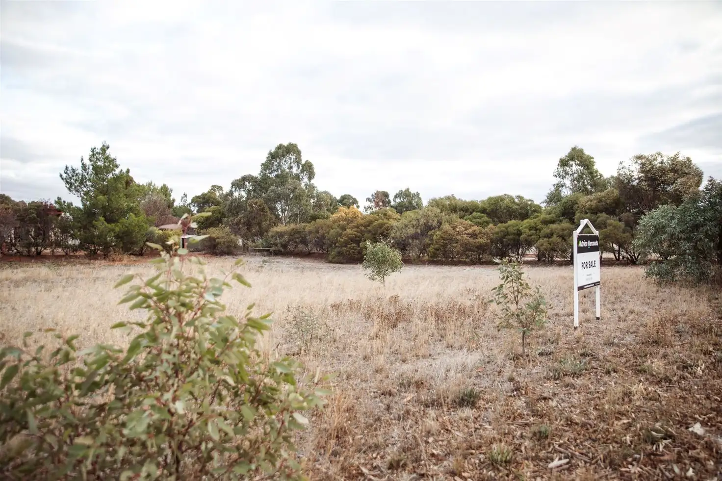 Main view of Homely land listing, 110 - 118 Cockburn Road, Jamestown SA 5491