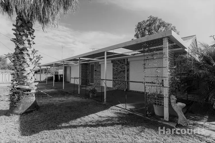 Main view of Homely house listing, 19 Steerforth Drive, Coodanup WA 6210