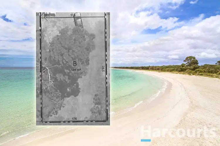 Proposed Lot 2 /48 Thomas Street