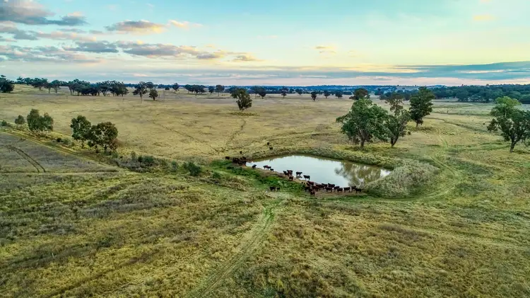 Third view of Homely rural property listing, ‘Iona’ Gollan road, Mudgee NSW 2850