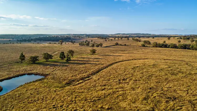 Sixth view of Homely rural property listing, ‘Iona’ Gollan road, Mudgee NSW 2850