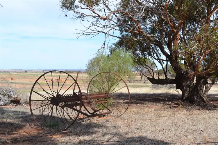 Second view of Homely rural property listing, 1749 Mather Road, Kellerberrin WA 6410