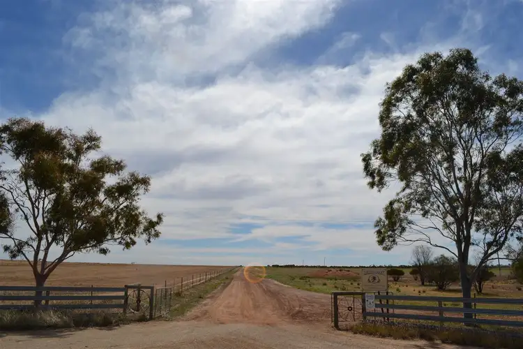 Third view of Homely rural property listing, 1749 Mather Road, Kellerberrin WA 6410