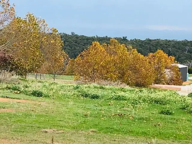 Main view of Homely land listing, 38 Argyll Ave, Bridgetown WA 6255