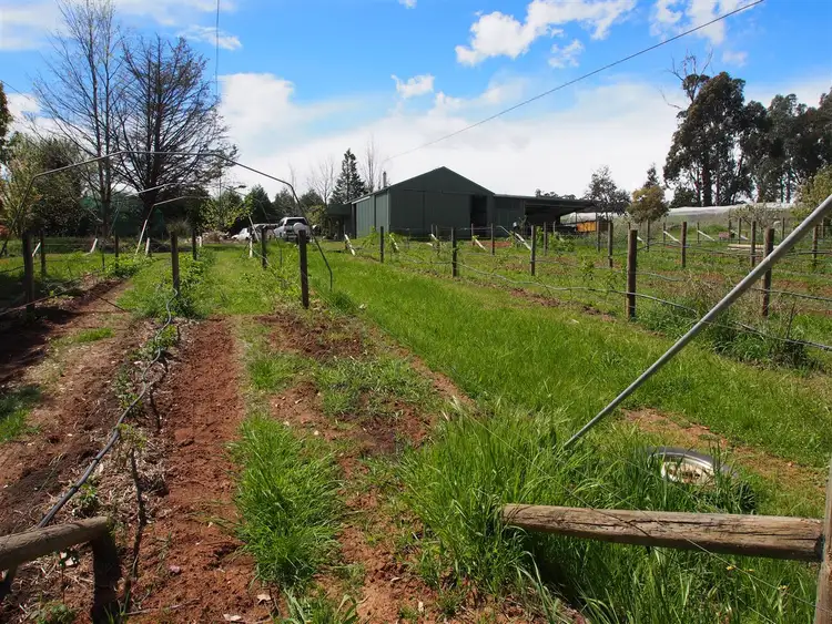 Second view of Homely rural property listing, 37 Upper Fifteen Mile Creek Rd, Myrrhee VIC 3732