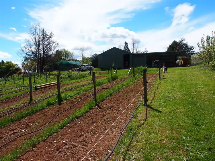 Sixth view of Homely rural property listing, 37 Upper Fifteen Mile Creek Rd, Myrrhee VIC 3732