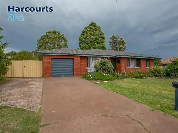 Main view of Homely house listing, 13 Kinkella Drive, Carey Park WA 6230
