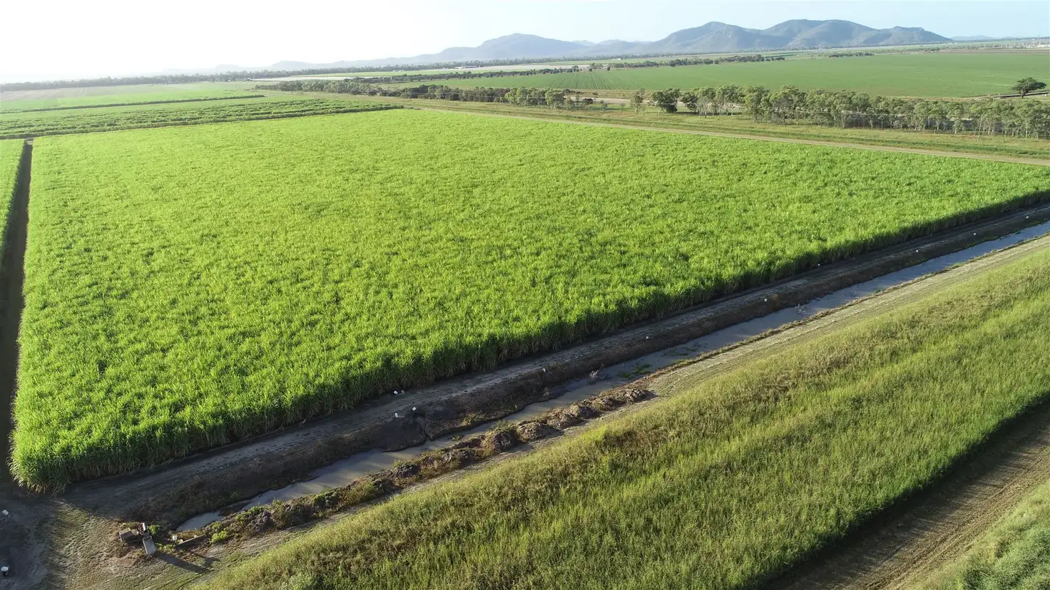 Main view of Homely rural property listing, Address available on request