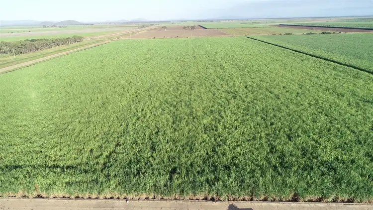 Second view of Homely rural property listing, Address available on request