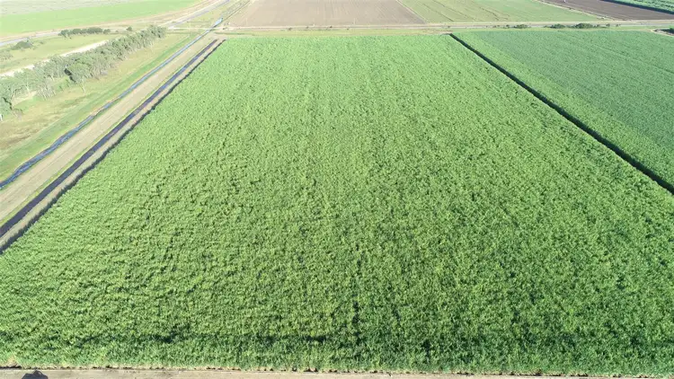 Fourth view of Homely rural property listing, Address available on request