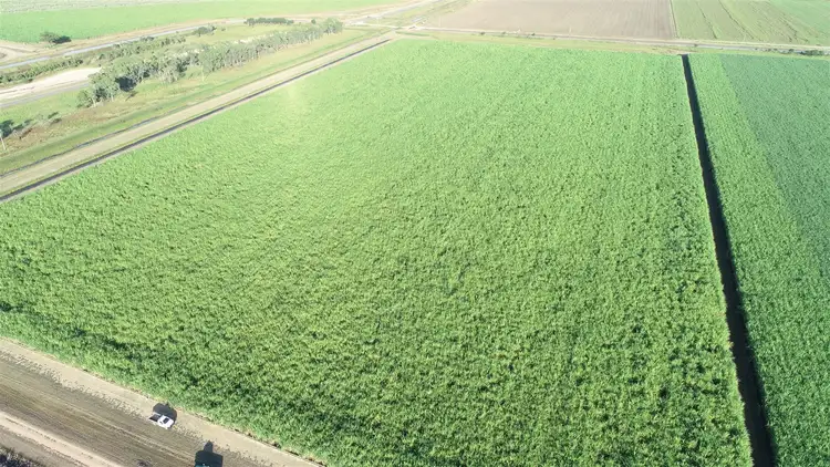 Fifth view of Homely rural property listing, Address available on request