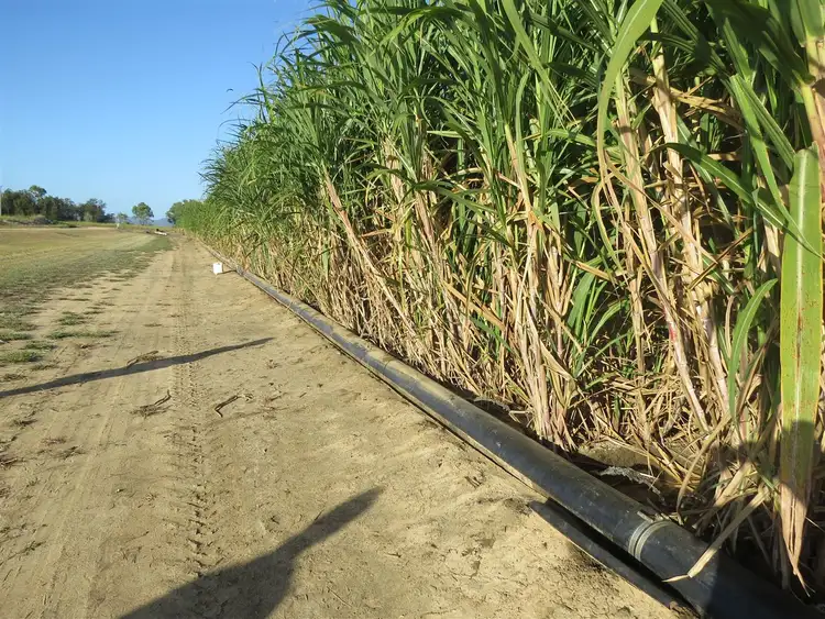 Sixth view of Homely rural property listing, Address available on request