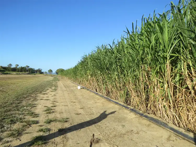 Seventh view of Homely rural property listing, Address available on request