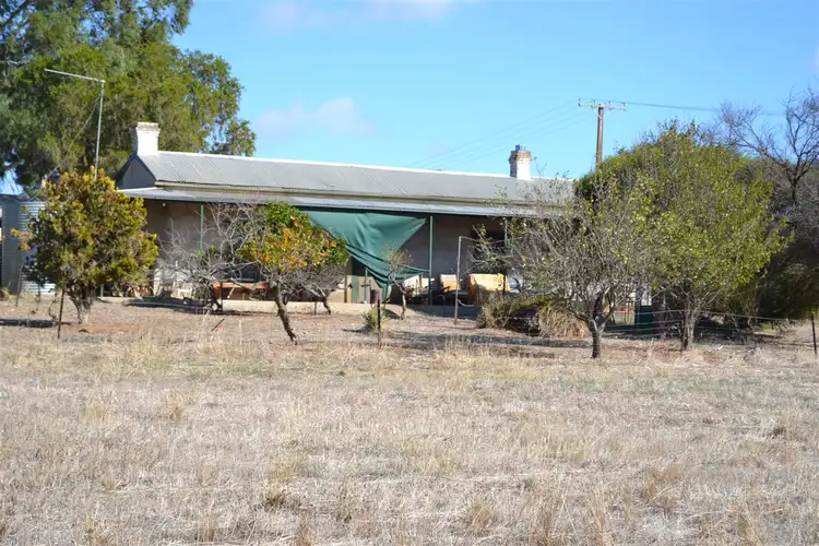 28 Robinson Road, Clare SA 5453