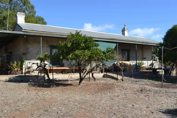 Second view of Homely rural property listing, 28 Robinson Road, Clare SA 5453