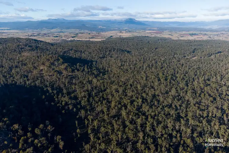 Fourth view of Homely rural property listing, part of 190 Porters Bridge Road, Exton TAS 7303