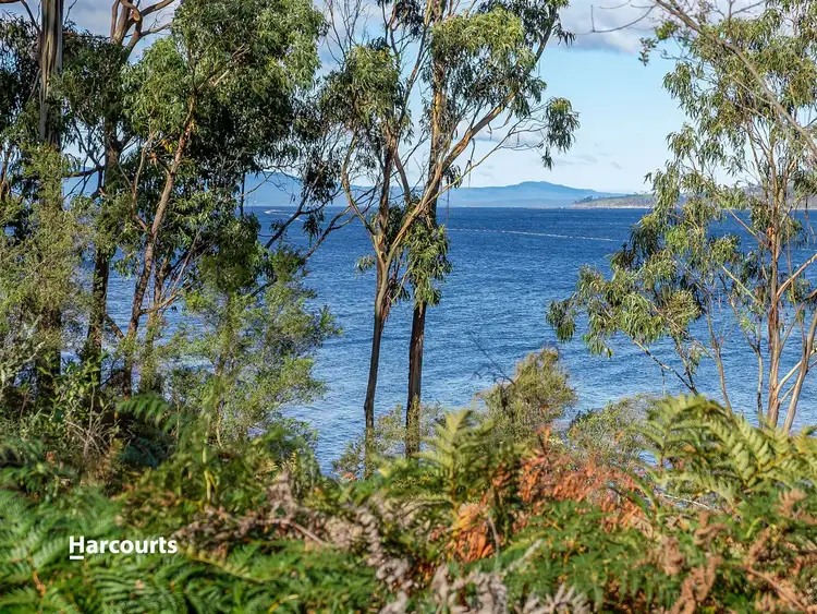 Sixth view of Homely land listing, 244 Cygnet Coast Road, Lymington TAS 7109