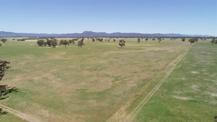 Main view of Homely rural property listing, . Schmidts Road, Brimpaen VIC 3401