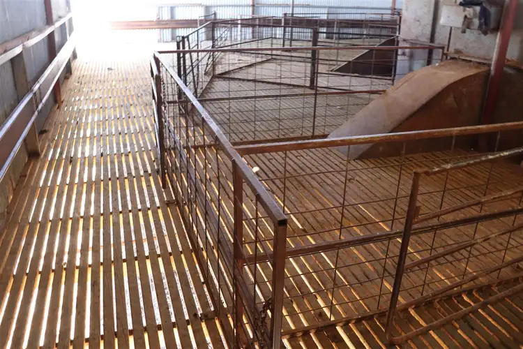 Seventh view of Homely rural property listing, Address available on request