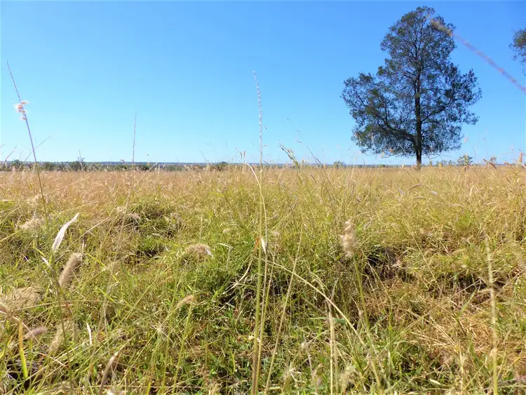 Third view of Homely rural property listing, 264 Blue Lagoon Rd "Keltone", Injune QLD 4454