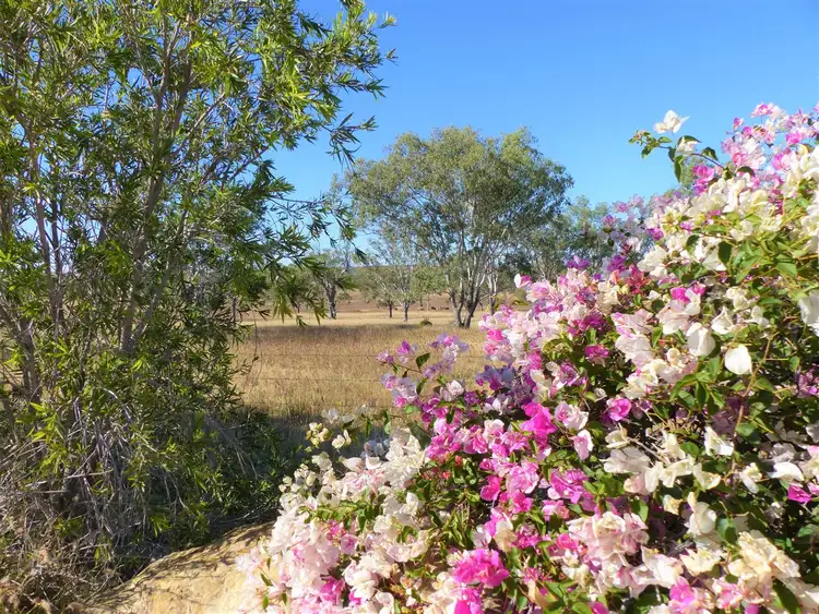 Fifth view of Homely rural property listing, 264 Blue Lagoon Rd "Keltone", Injune QLD 4454