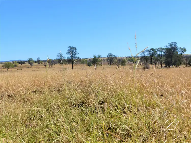 Sixth view of Homely rural property listing, 264 Blue Lagoon Rd "Keltone", Injune QLD 4454