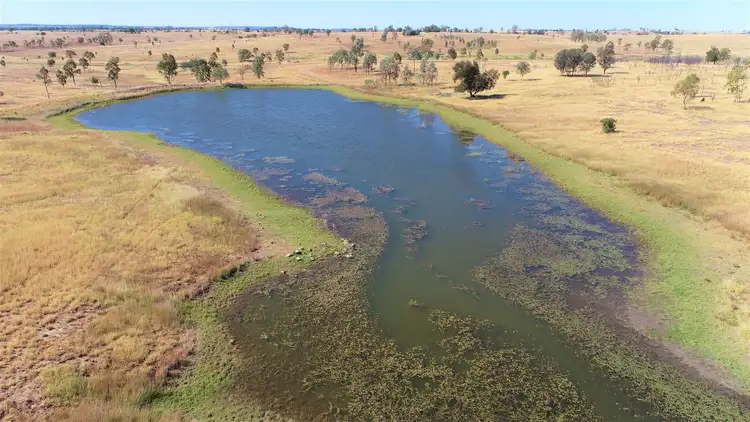Fourth view of Homely rural property listing, 719 Injune/Taroom Rd "Allbro Downs", Injune QLD 4454