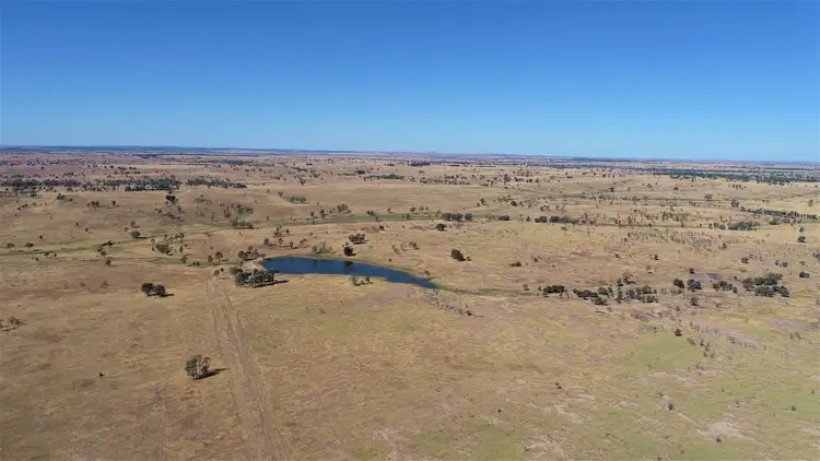 Fifth view of Homely rural property listing, 719 Injune/Taroom Rd "Allbro Downs", Injune QLD 4454