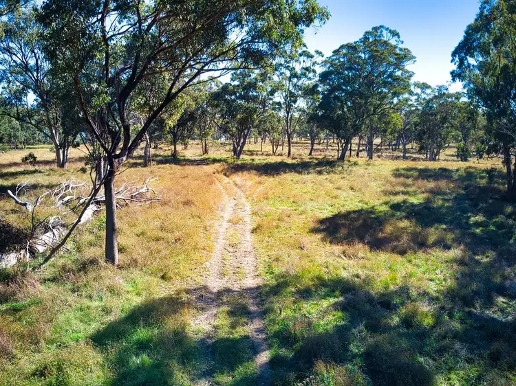 Main view of Homely rural property listing, L1- 100 ha/3053 Nullo Mountain Road Nullo Mountain, Rylstone NSW 2849