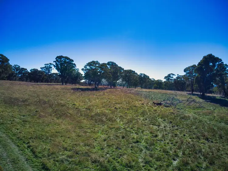 Fourth view of Homely rural property listing, L2- 200 ha/3054 Nullo Mountain Road Nullo Mountain, Rylstone NSW 2849