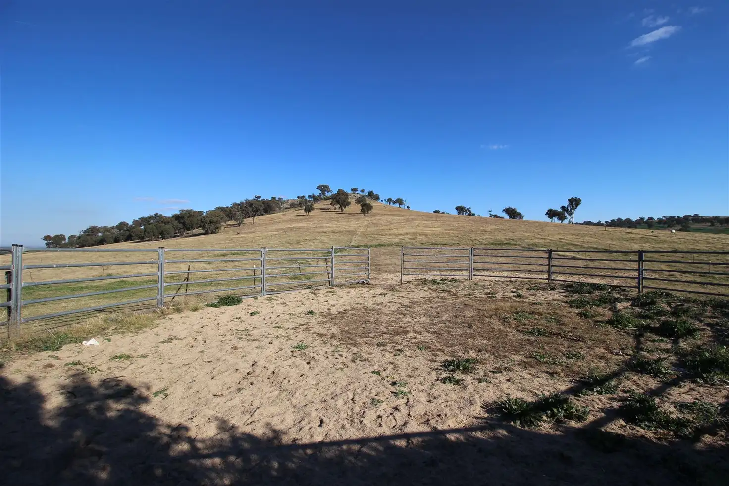 Main view of Homely rural property listing, 765 Stockinbingal Road, Cootamundra NSW 2590