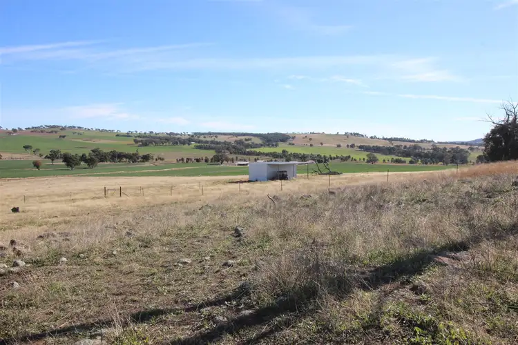 Third view of Homely rural property listing, 765 Stockinbingal Road, Cootamundra NSW 2590
