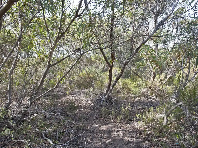 Fourth view of Homely rural property listing, Lot 10 Hundred Line Road, Foul Bay SA 5577