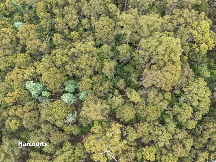 Fifth view of Homely land listing, RA off Sky Farm Road, Deep Bay TAS 7112