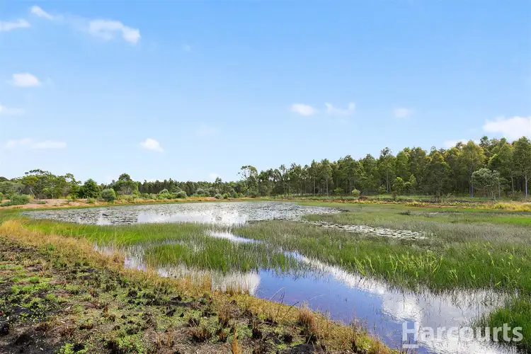Sixth view of Homely rural property listing, 265 Sanctuary Hills Road, Takura QLD 4655