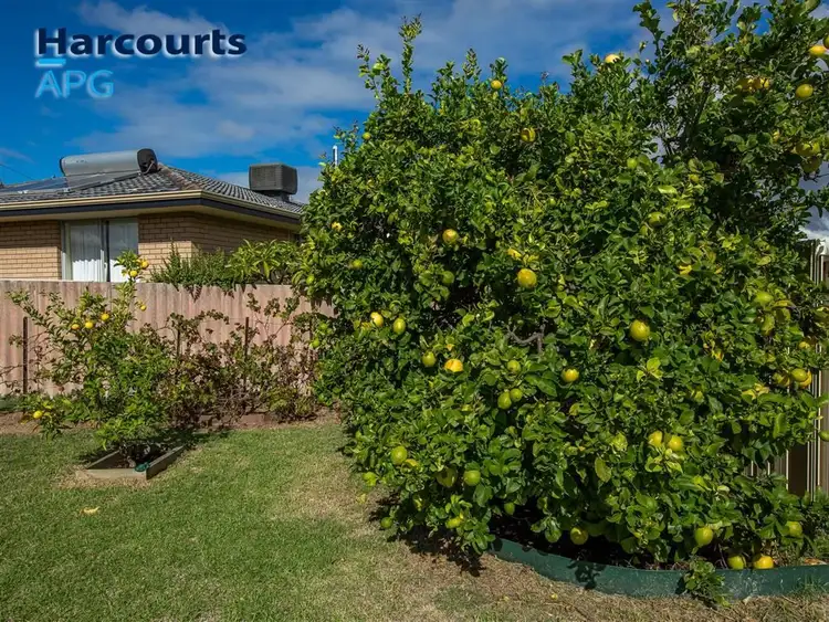 Fourth view of Homely house listing, 13 Bunning Boulevard, East Bunbury WA 6230