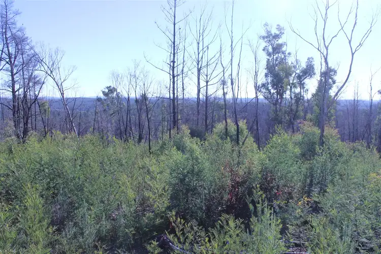 Third view of Homely rural property listing, 366 Corang Post Office Road, Nerriga NSW 2622