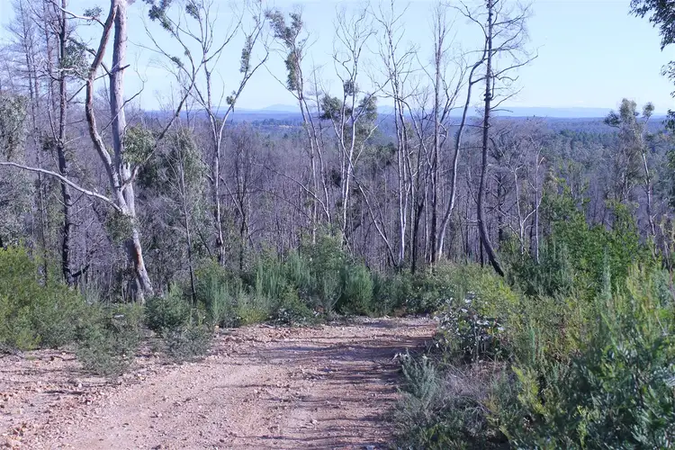 Fifth view of Homely rural property listing, 366 Corang Post Office Road, Nerriga NSW 2622