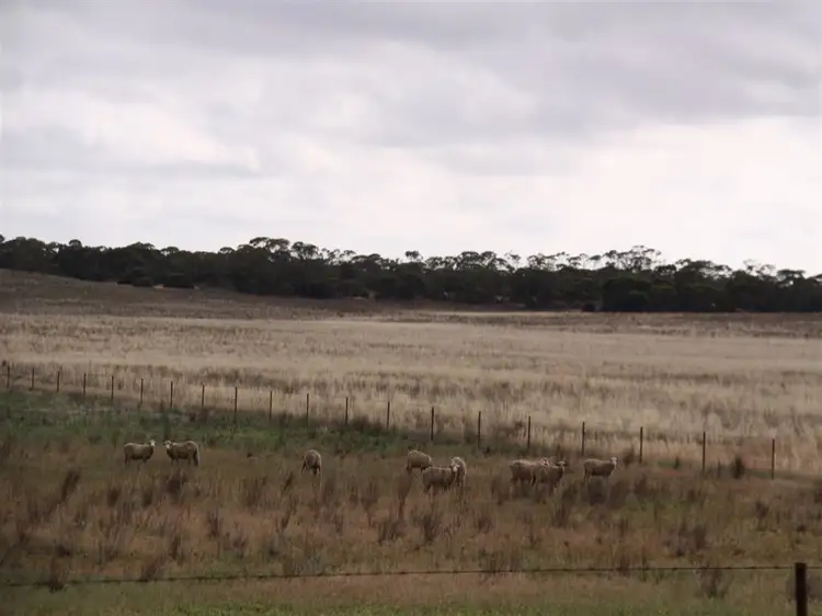 Second view of Homely rural property listing, 304 Stutley Road, Halidon SA 5309