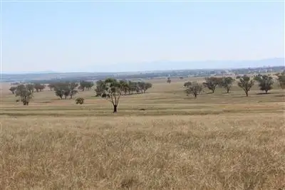 Sixth view of Homely rural property listing, . "Mulela" Weblands Rd, Quirindi NSW 2343