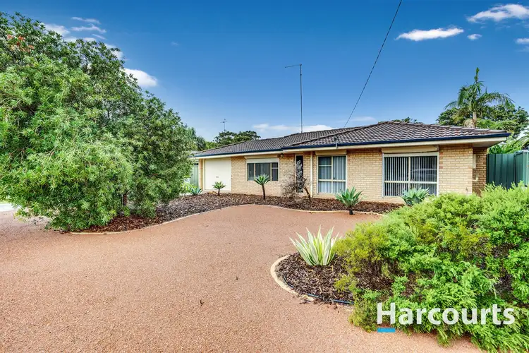 Main view of Homely house listing, 75 Mistral Street, Falcon WA 6210
