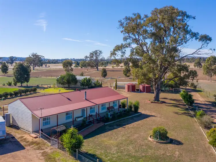 81 Peck Rd, Goorambat VIC 3725