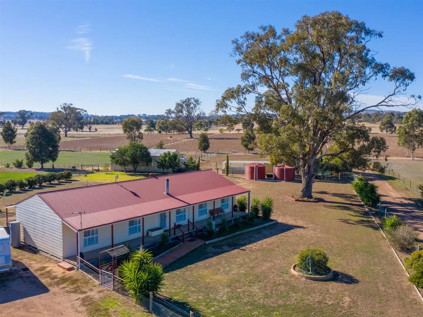 Main view of Homely rural property listing, 81 Peck Rd, Goorambat VIC 3725
