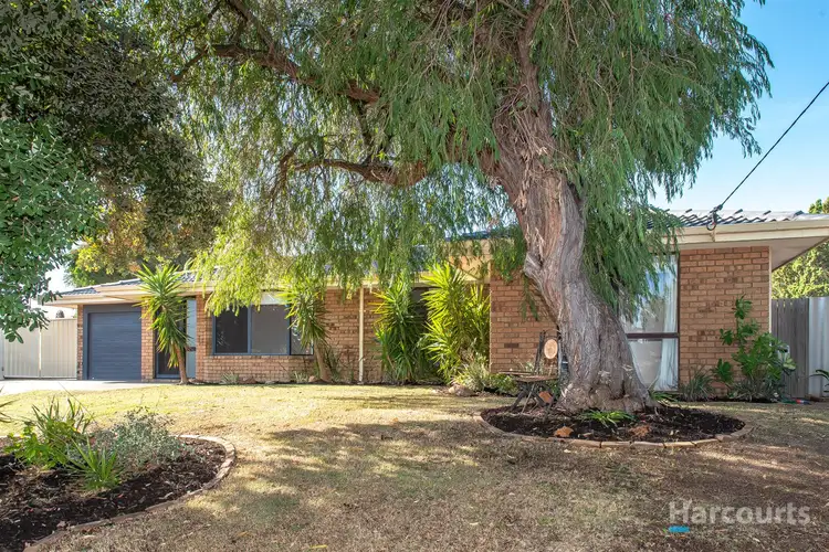 11 Britannia Way, Craigie WA 6025