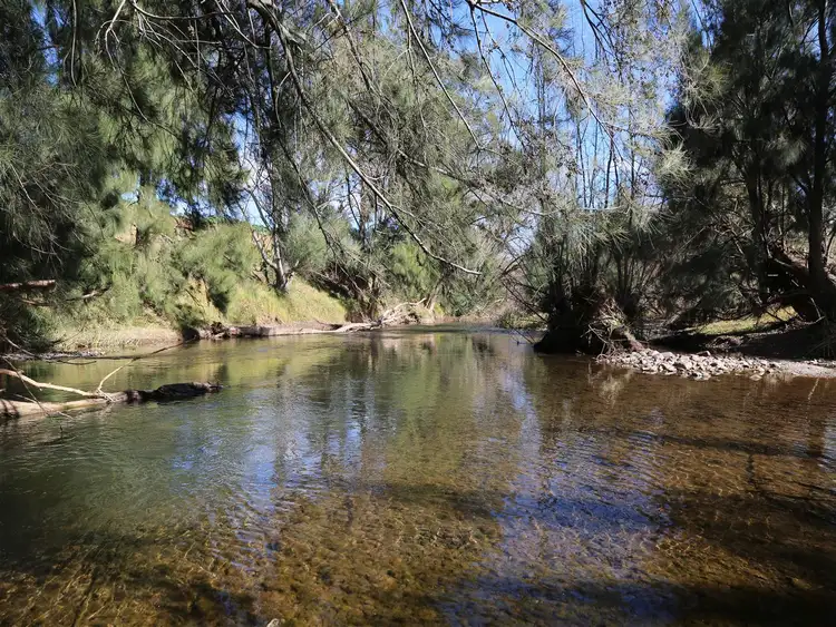 Third view of Homely rural property listing, 'Narelle Park' 50 Segenhoe Rd, Aberdeen NSW 2336